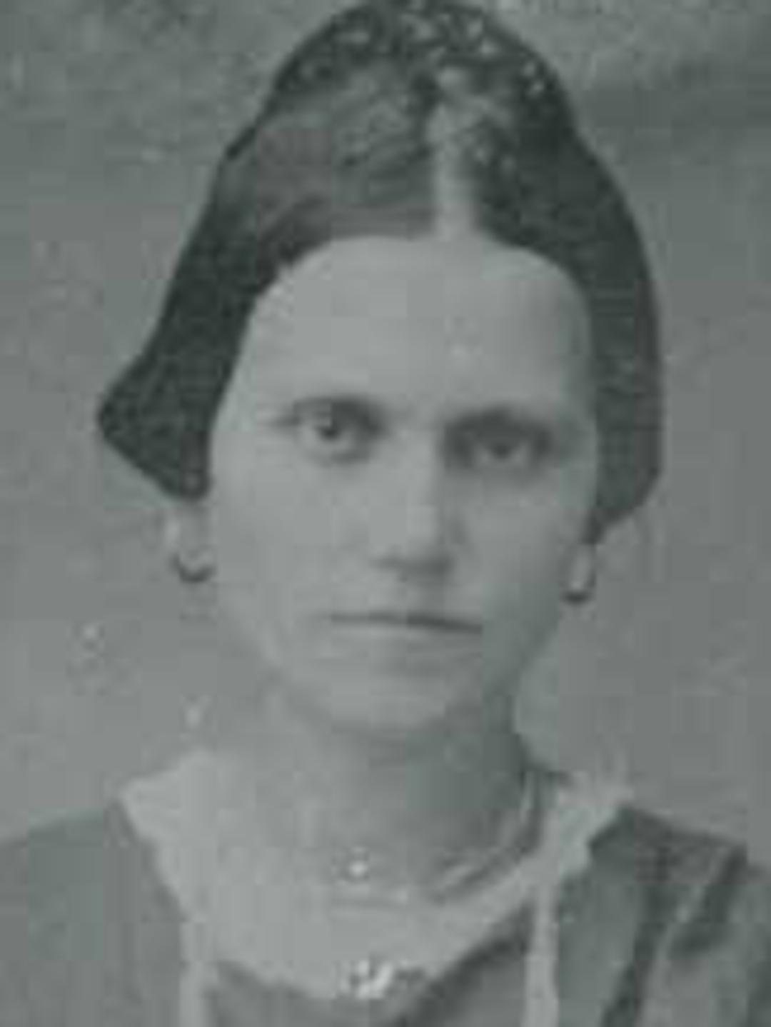 Nancy Areta Porter (1825 - 1888) Profile